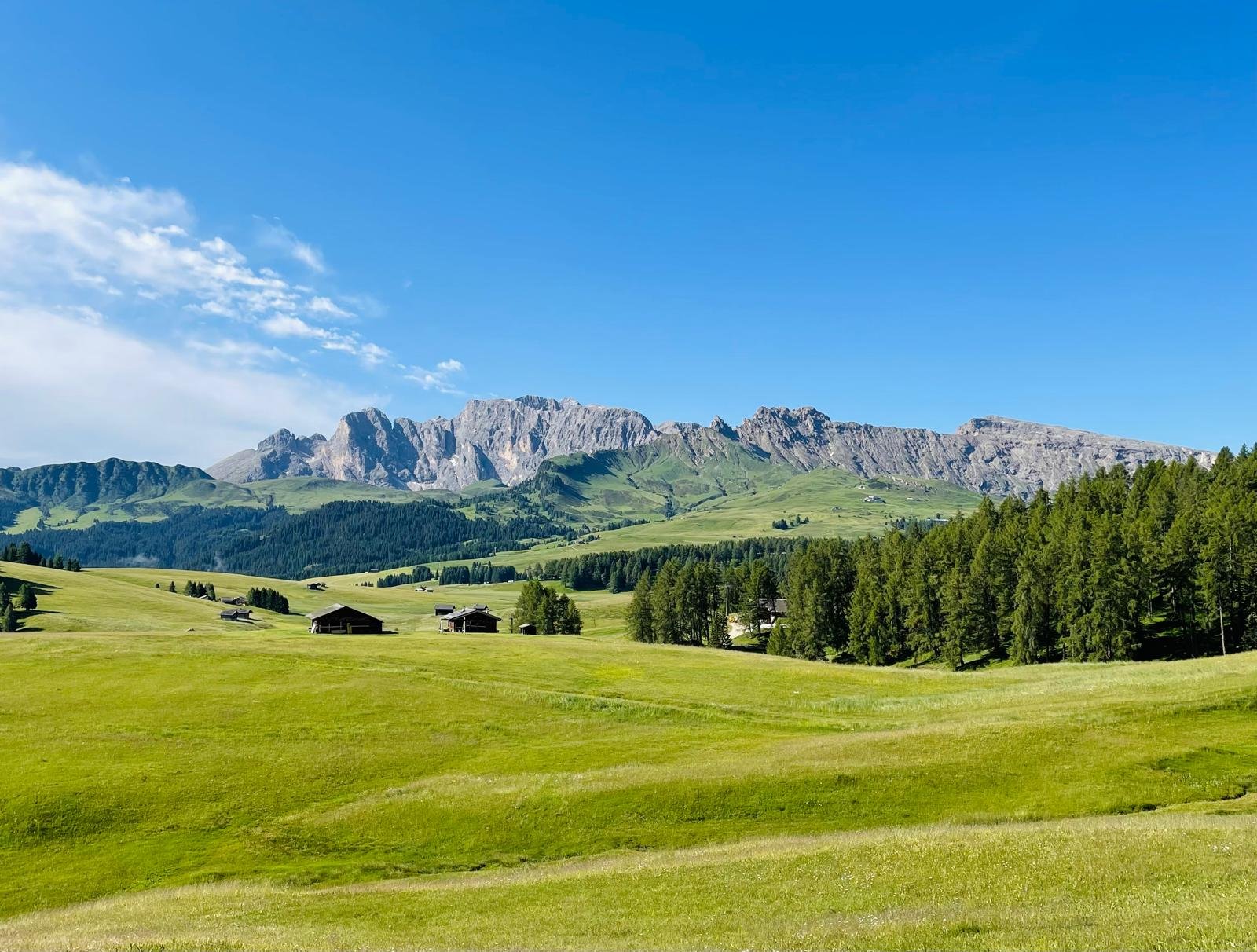 Guida completa per visitare l’Alpe di Siusi in Estate