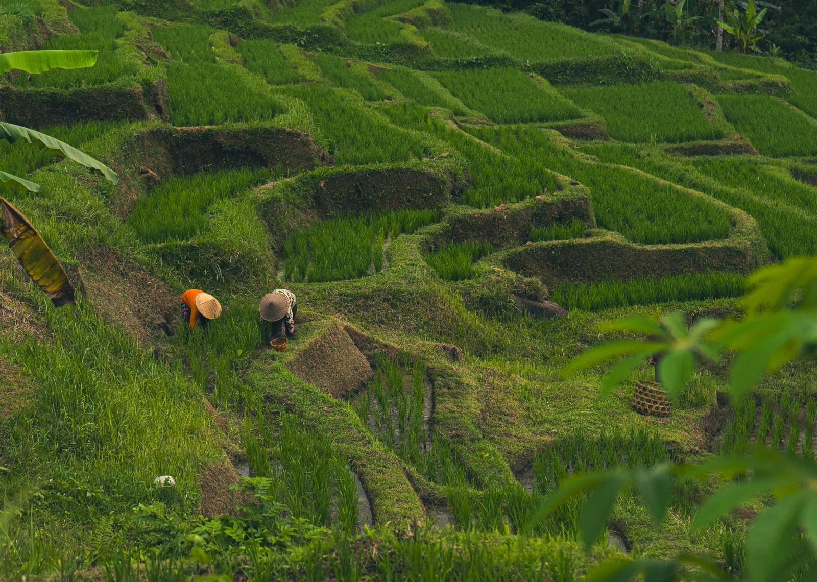 Alternative Autentiche a Bali